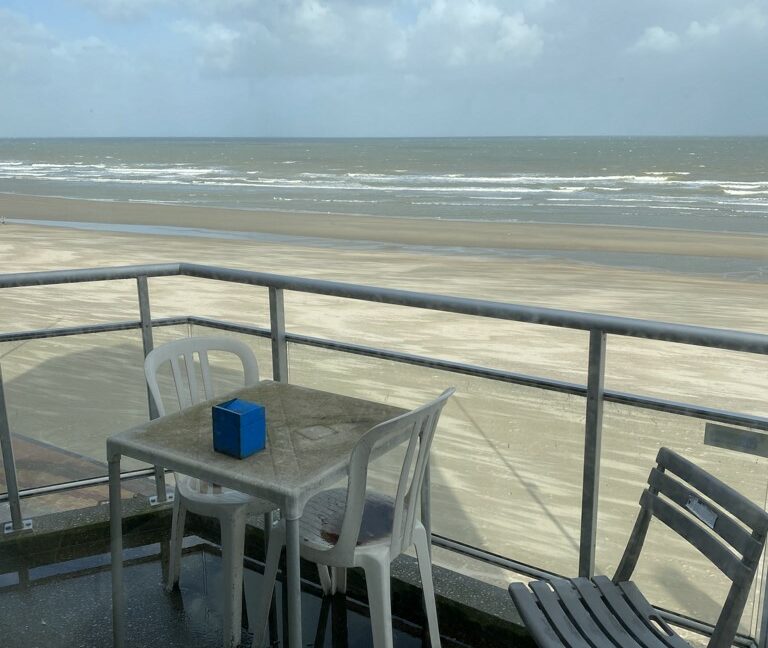 Pollet 3 (4)
