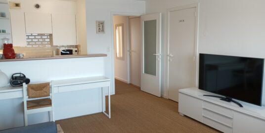 Appt type 2 face mer traversant