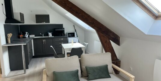 Beau T2 meublé, neuf, à Petite-Synthe